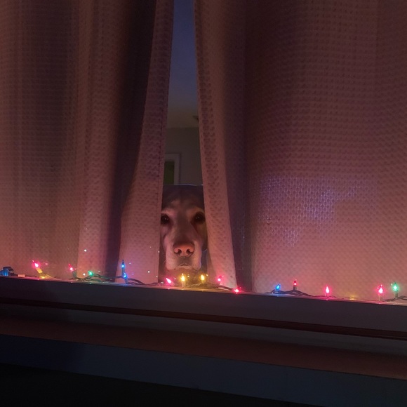 Meet your Posher, Kristine - Picture 2 of 8